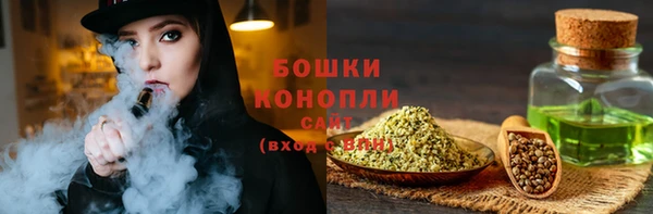 прущие грибы Богородск