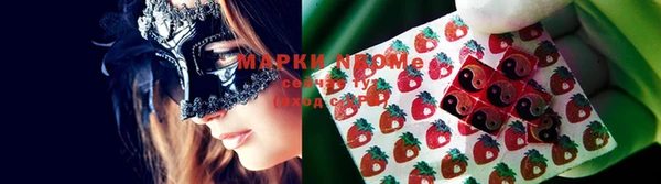 прущие грибы Богородск