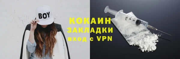 прущие грибы Богородск