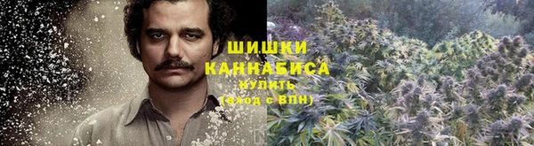 mix Богородицк