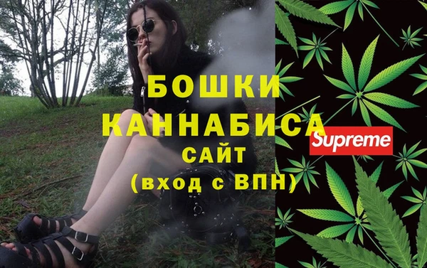 прущие грибы Богородск