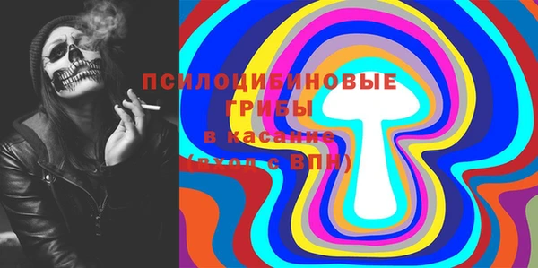 прущие грибы Богородск