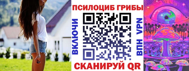 Псилоцибиновые грибы мицелий  Нижний Новгород 